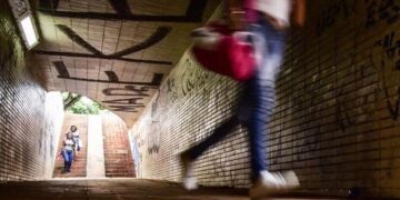 Vídeo: homem furta casa na Asa Norte e foge pelo telhado em plena luz do dia