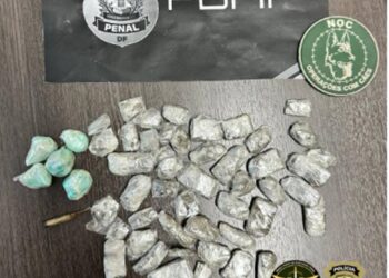 Saiba quem é a “doutora do pó”, advogada presa na Papuda com cocaína e maconha na vagina