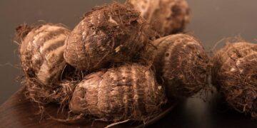 Comida de verdade! Médico diz como incluir mais fibras no cardápio