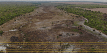 Cerrado: Plano de combate a desmatamento aposta em ampliar terras indígenas e quilombolas