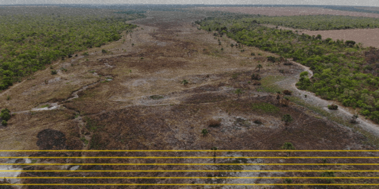 Cerrado: Plano de combate a desmatamento aposta em ampliar terras indígenas e quilombolas