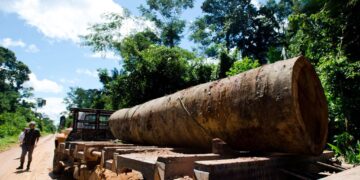 O “abraço da morte” que ameaça grupo de indígenas isolados em Mato Grosso