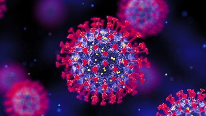 Pirola: variante é menos contagiosa que a Ômicron, afirma estudo