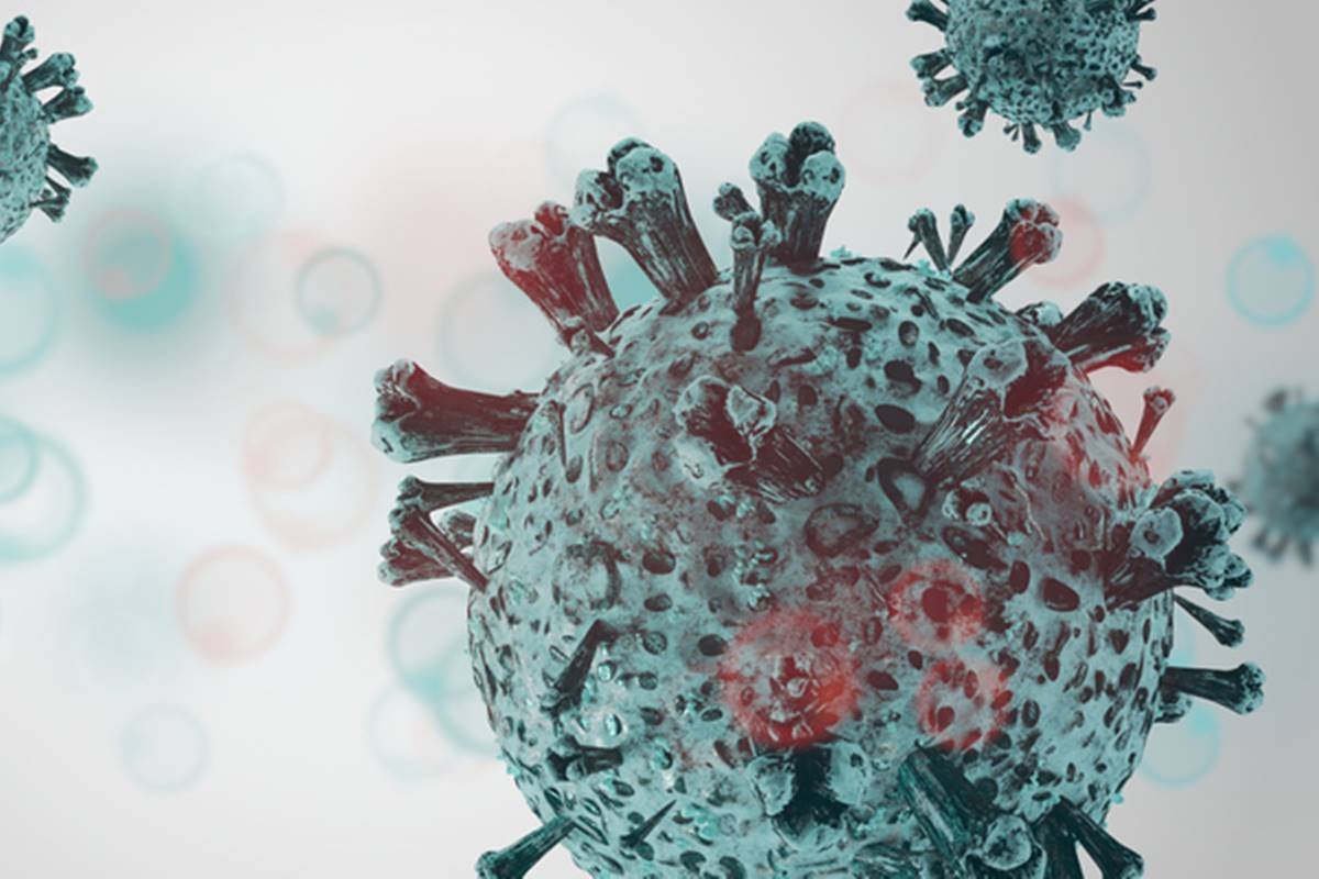 Covid: FDA aprova uso de vacinas mais atualizadas da Pfizer e Moderna