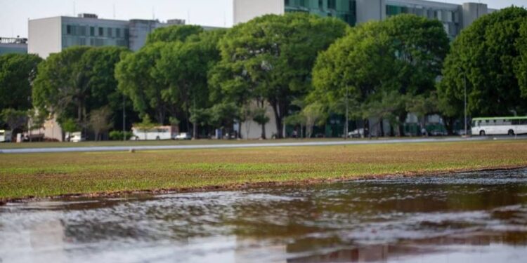 Cano quebrado alaga gramado da Esplanada dos Ministérios