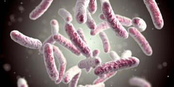 Resistência antimicrobiana: uma questão de saúde pública internacional