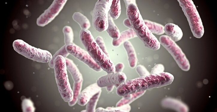 Resistência antimicrobiana: uma questão de saúde pública internacional