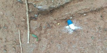 Moradores da Asa Norte denunciam descarte irregular de remédios