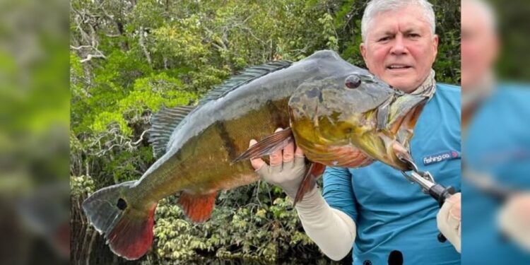 Iges lamenta morte de médico do Hospital de Base em acidente de avião