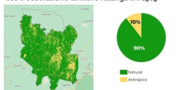 Estudo: apenas 48% do Cerrado brasileiro conta com vegetação nativa