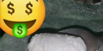 “Neguinho do Papel” engole selos de LSD para enganar PCDF e passa mal