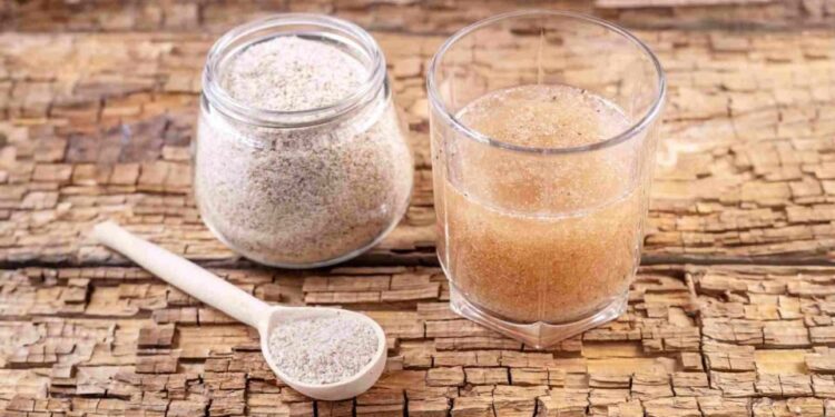 Psyllium promete emagrecimento rápido e vira febre. Quem pode usar?