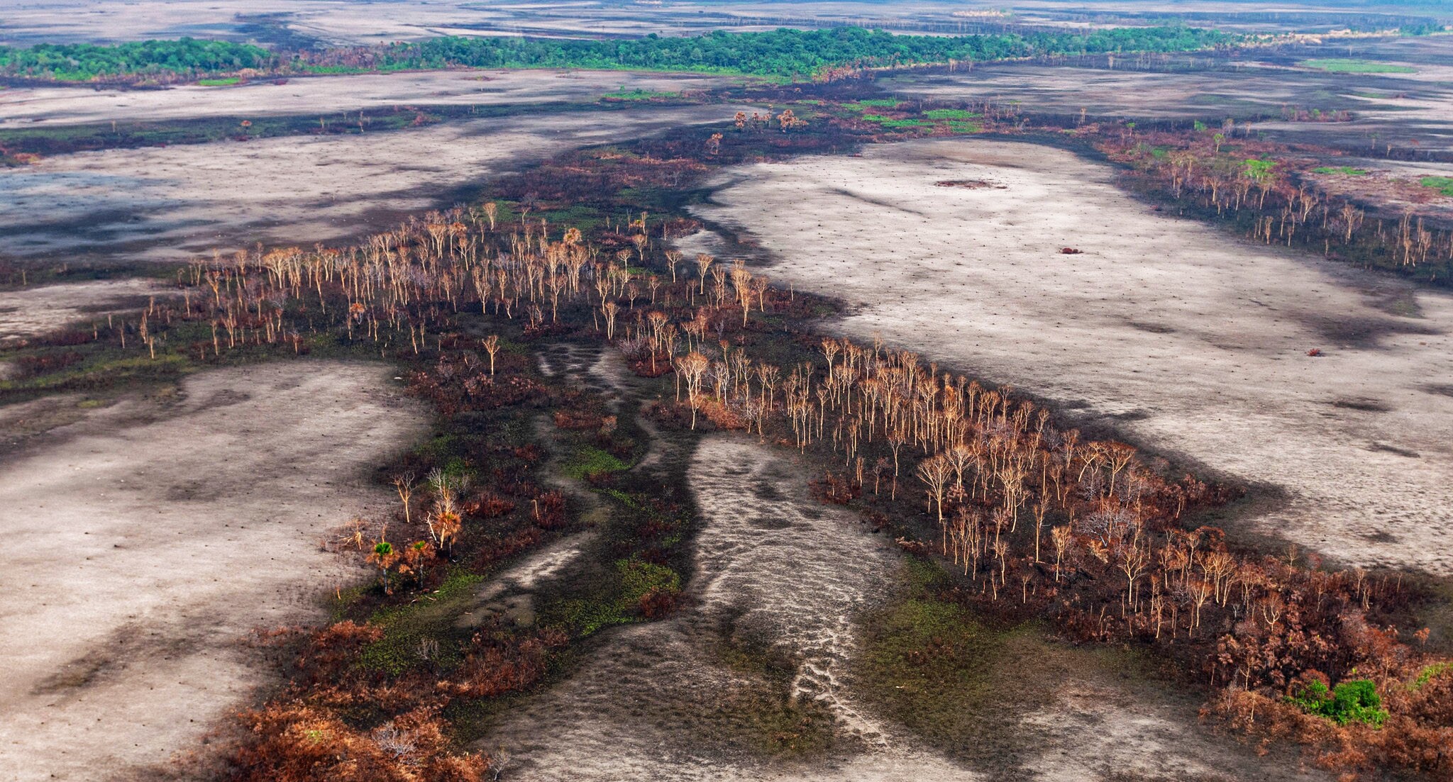 Temporal no RS, fogo na Amazônia, destruição da Líbia: “o calor é combustível de desgraça”