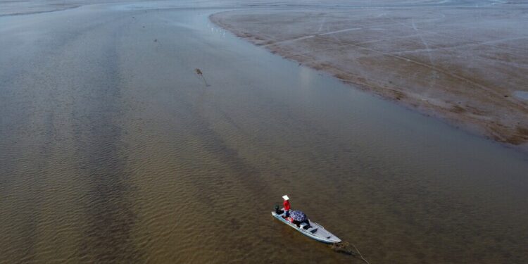 Seca na Amazônia vira novo alvo de desinformação da extrema direita no Brasil
