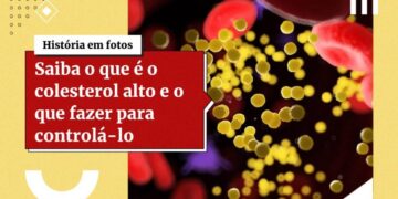 Gorduras do bem: saiba quais alimentos preservam a saúde vascular