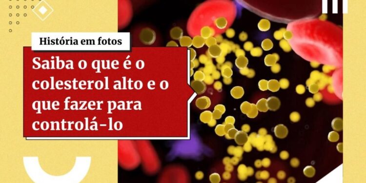 Precisa abaixar o colesterol? Confira 7 sugestões de lanches saudáveis
