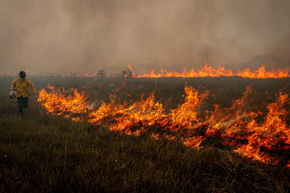 Bombeiros tentam dominar política de combate a incêndios florestais discutida no Congresso