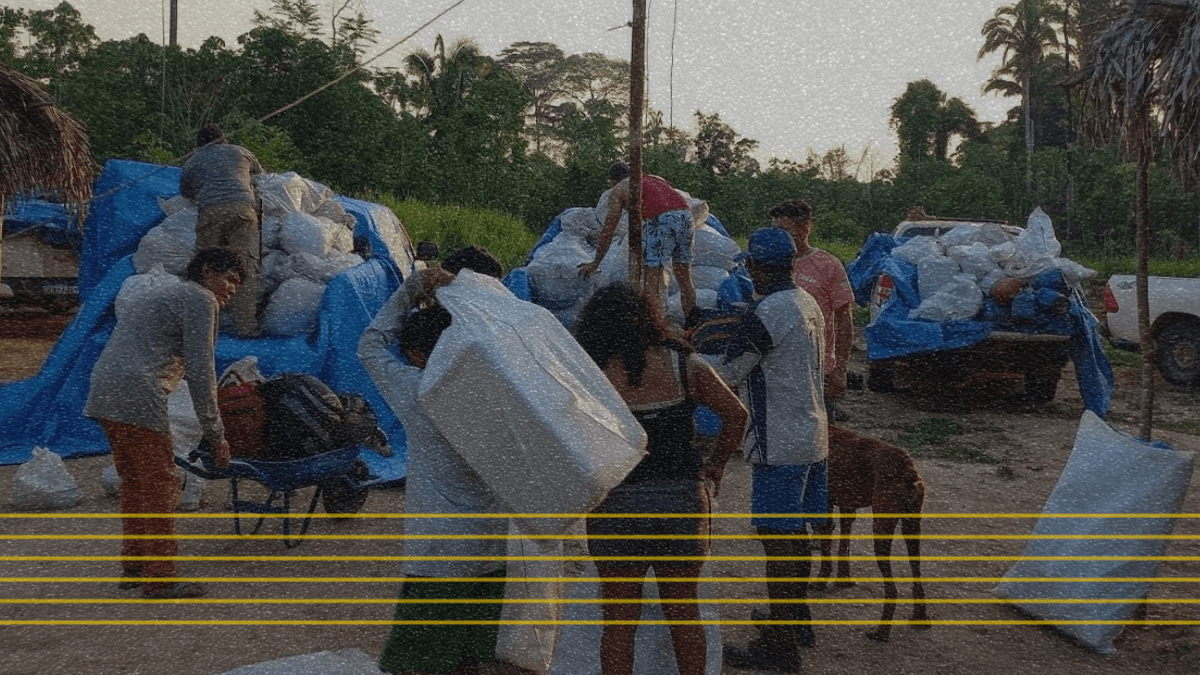 Apyterewa: Indígenas se mudam de aldeias temendo retaliação por desintrusão de invasores