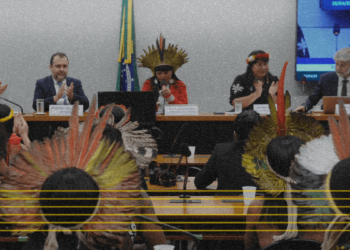 Obstrução no Congresso atrasa decisões sobre direitos de mulheres e povos originários