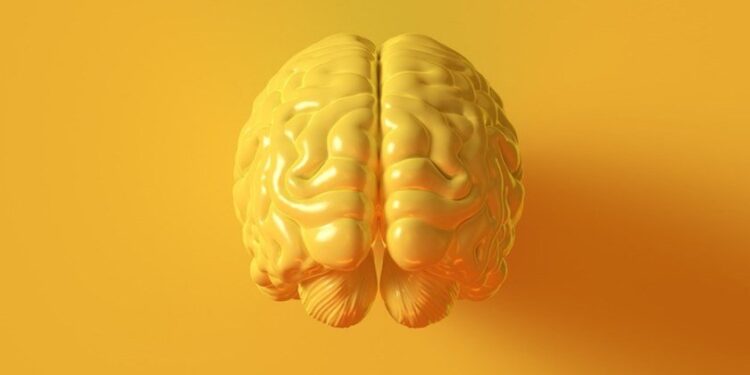 Estudo aponta por que antidepressivos demoram semanas para ter efeitos