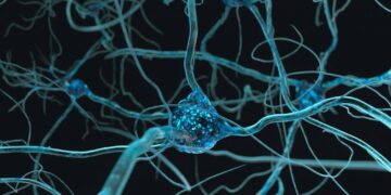 Covid longa: estudo relaciona nevoeiro cerebral à falta de serotonina