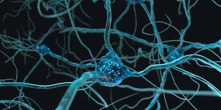 Covid longa: estudo relaciona nevoeiro cerebral à falta de serotonina