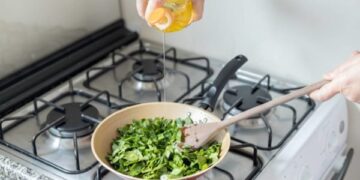 Ora-pro-nóbis: saiba se a planta rica em proteínas ajuda a emagrecer