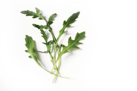 Sucos detox: por que a couve é principal ingrediente dessas bebidas?