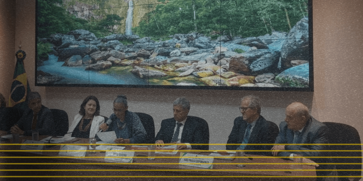 Com desmatamento no Cerrado em alta, governo revela como quer frear a destruição