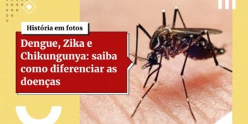 Ter tido zika aumenta o risco de dengue grave, diz estudo brasileiro