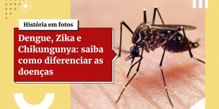 Ter tido zika aumenta o risco de dengue grave, diz estudo brasileiro