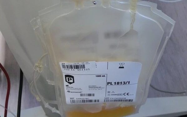 Sangue, remédios e dinheiro: Quem sai ganhando com a PEC do Plasma