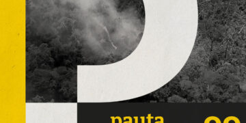 Floresta queimando – com Erika Berenguer