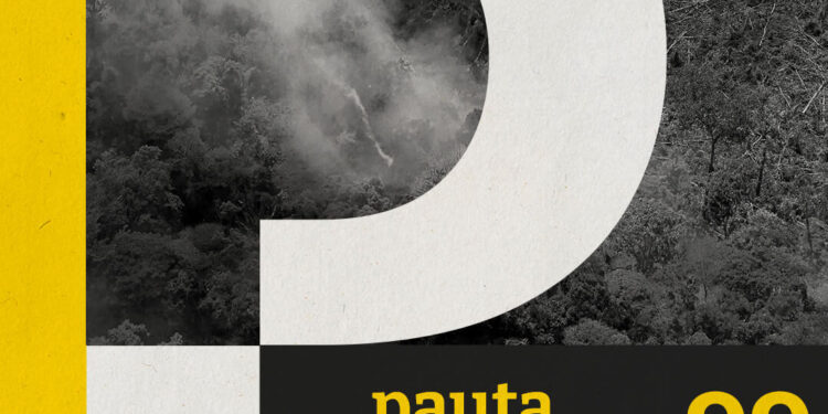 Floresta queimando – com Erika Berenguer