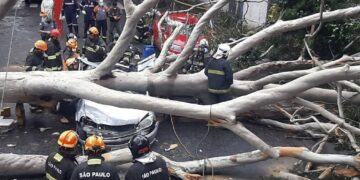Da falta de luz em São Paulo às fumaças em Manaus: o ano mais quente em 125 mil anos