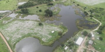 Munduruku estão cada vez mais cercados pela soja e agrotóxicos