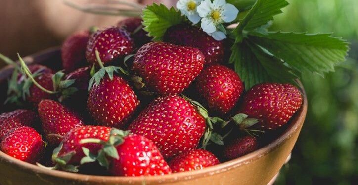 Ciência aponta fruta capaz de prevenir o declínio cognitivo