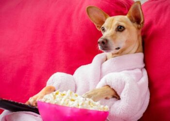 Ciência aponta truque simples para controlar açúcar no sangue