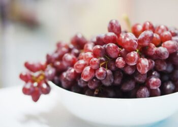 Conheça fruta capaz de preservar a memória e a saúde dos olhos