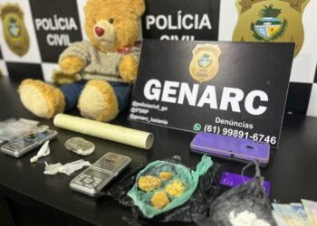 Urso Teddy é apreendido no Entorno recheado de maconha, crack e pó