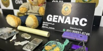Urso Teddy é apreendido no Entorno recheado de maconha, crack e pó