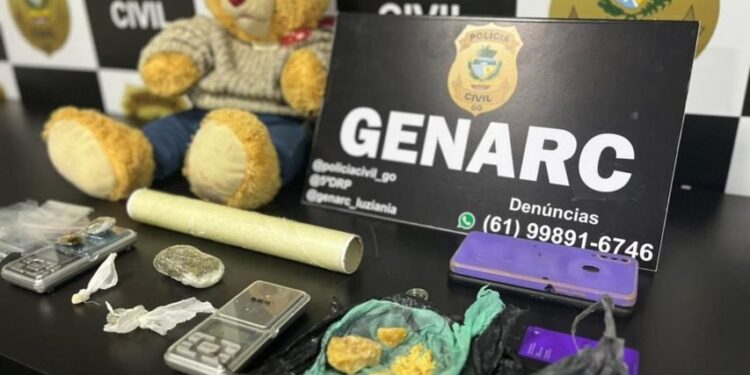 Urso Teddy é apreendido no Entorno recheado de maconha, crack e pó
