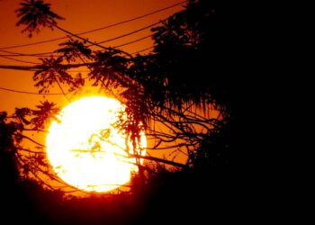 The Lancet: mortes por calor podem quadruplicar até meados do século
