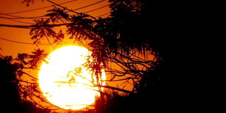 The Lancet: mortes por calor podem quadruplicar até meados do século