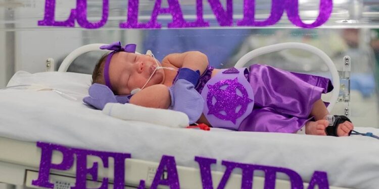Fotos: ensaios de bebês prematuros comovem e inspiram famílias no DF