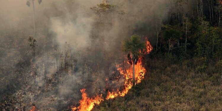 Governo Bolsonaro anulou avanços climáticos do Brasil neste século