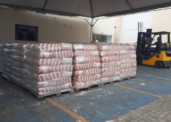 Merenda míngua sem macarrão e arroz em escolas do DF, diz conselho