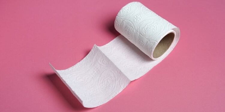 Em pé ou sentado? Saiba a forma correta de se limpar após evacuar