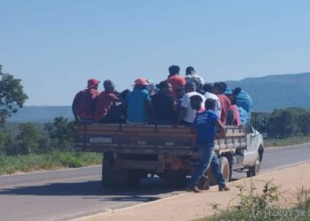 Após morte de quilombola, MPGO pede fim de paus-de-arara em Cavalcante
