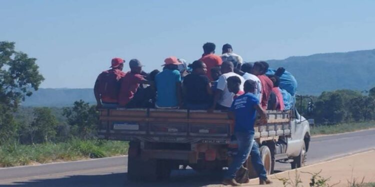 Após morte de quilombola, MPGO pede fim de paus-de-arara em Cavalcante